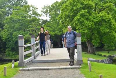 DSC_3414 (Large).JPG